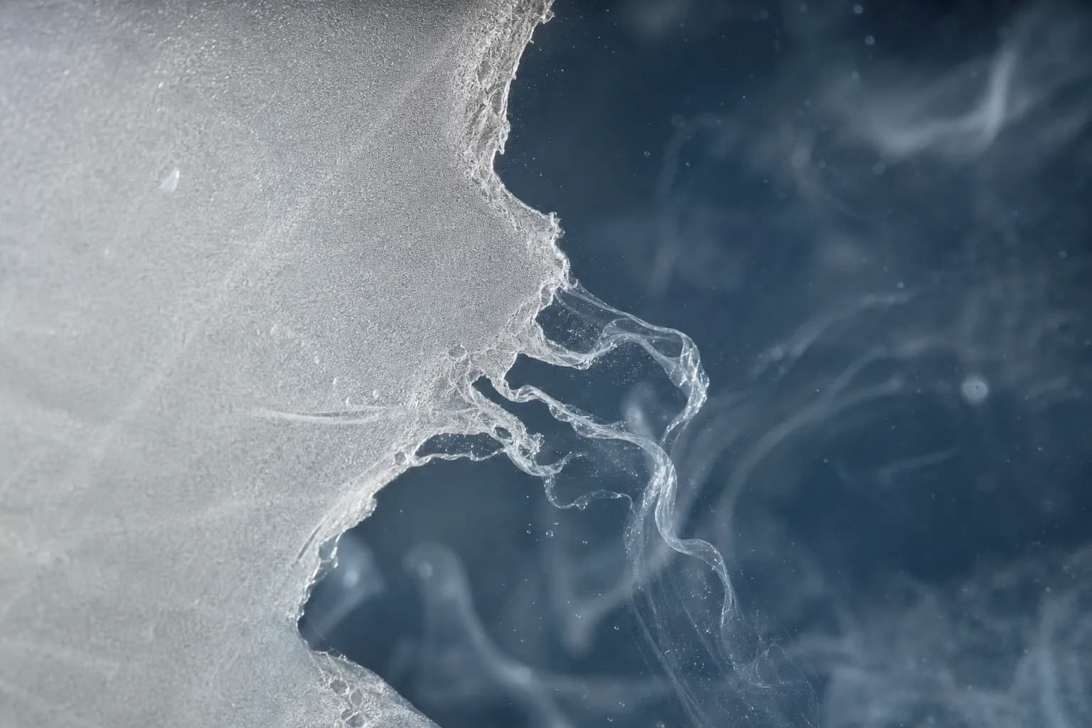 PVA film dissolving, macro